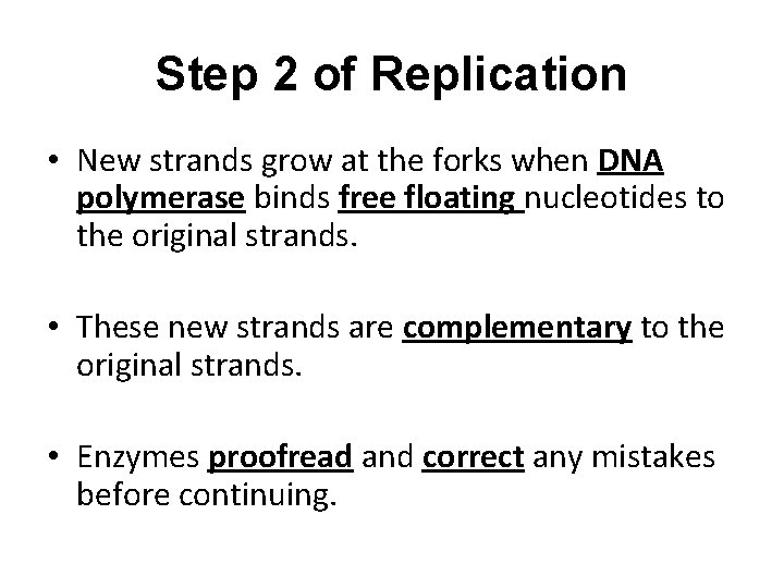 Step 2 of Replication • New strands grow at the forks when DNA polymerase Step 2 of Replication • New strands grow at the forks when DNA polymerase