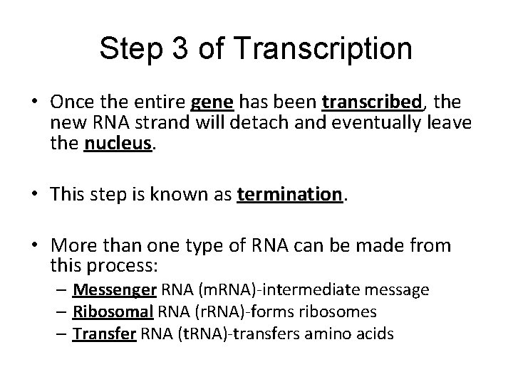 Step 3 of Transcription • Once the entire gene has been transcribed, the new Step 3 of Transcription • Once the entire gene has been transcribed, the new