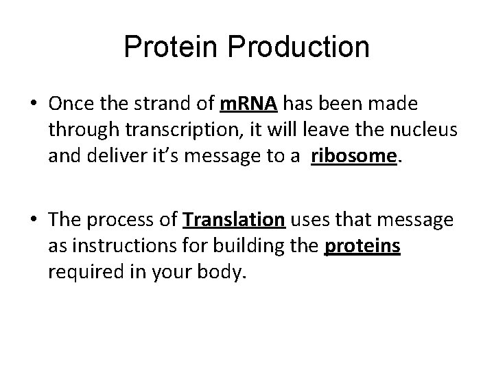 Protein Production • Once the strand of m. RNA has been made through transcription, Protein Production • Once the strand of m. RNA has been made through transcription,