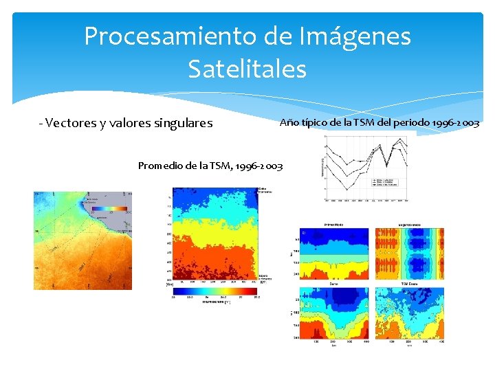 Procesamiento de Imágenes Satelitales - Vectores y valores singulares Año típico de la TSM