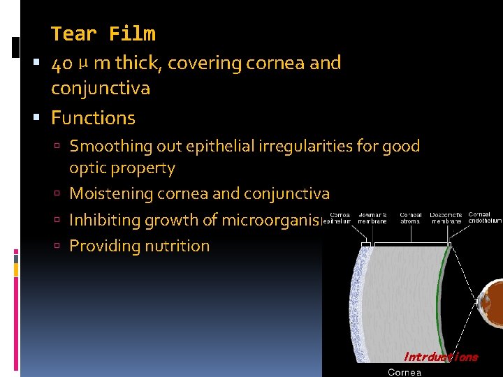 Tear Film 40μm thick, covering cornea and conjunctiva Functions Smoothing out epithelial irregularities for