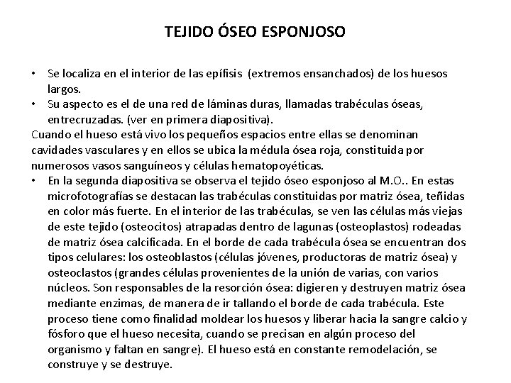 TEJIDO ÓSEO ESPONJOSO • Se localiza en el interior de las epífisis (extremos ensanchados) TEJIDO ÓSEO ESPONJOSO • Se localiza en el interior de las epífisis (extremos ensanchados)