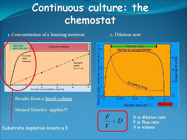 Continuous culture: the chemostat 1. Concentration of a limiting nutrient 2. Dilution rate Results