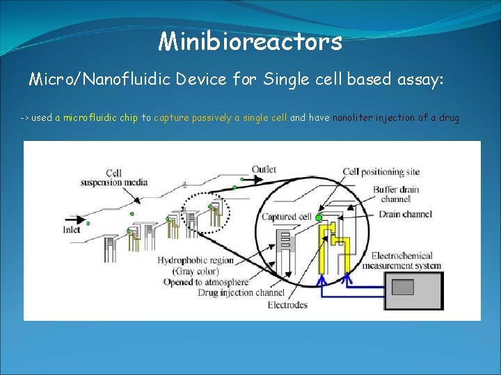 Minibioreactors Micro/Nanofluidic Device for Single cell based assay: -> used a microfluidic chip to