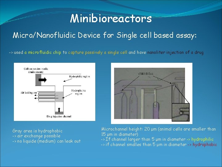 Minibioreactors Micro/Nanofluidic Device for Single cell based assay: -> used a microfluidic chip to