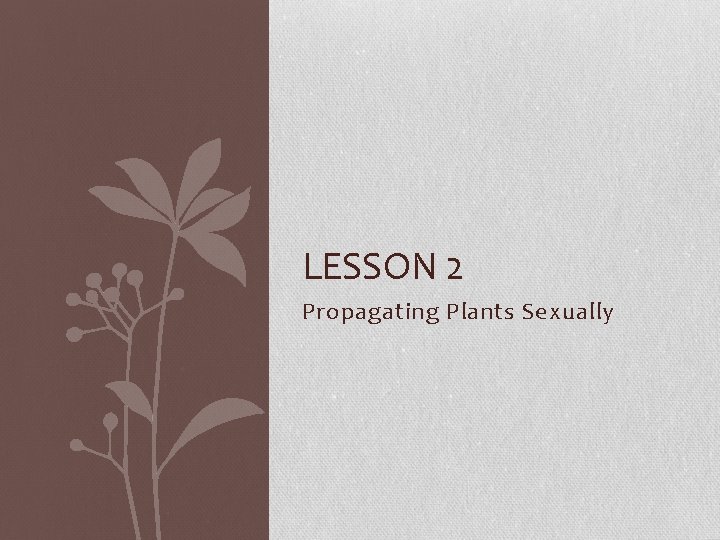 LESSON 2 Propagating Plants Sexually 