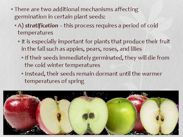  • There are two additional mechanisms affecting germination in certain plant seeds: •