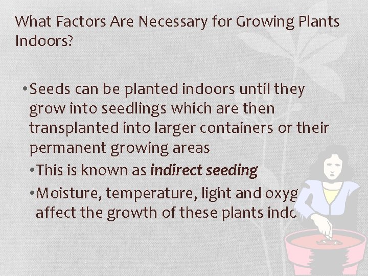 What Factors Are Necessary for Growing Plants Indoors? • Seeds can be planted indoors