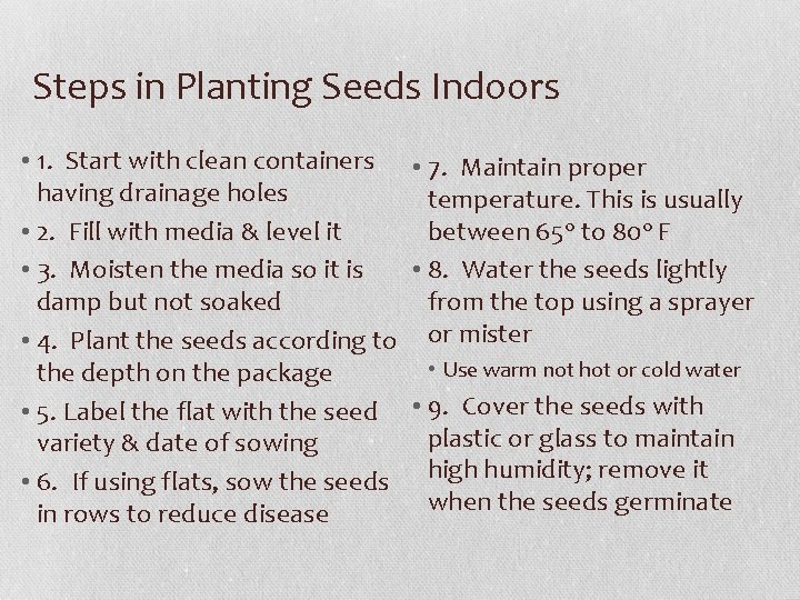 Steps in Planting Seeds Indoors • 1. Start with clean containers • 7. Maintain