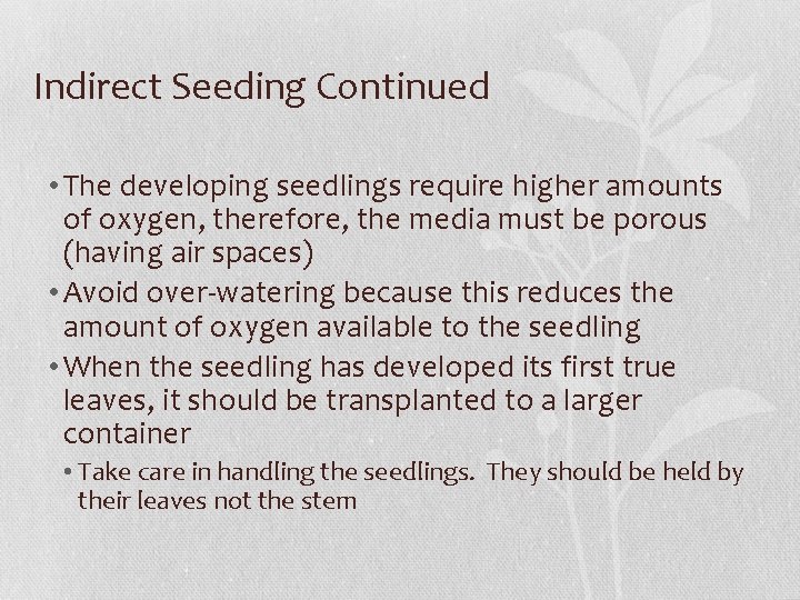 Indirect Seeding Continued • The developing seedlings require higher amounts of oxygen, therefore, the