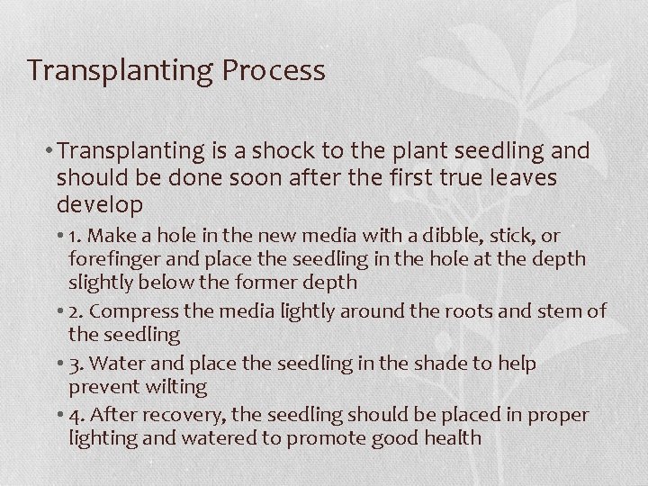 Transplanting Process • Transplanting is a shock to the plant seedling and should be
