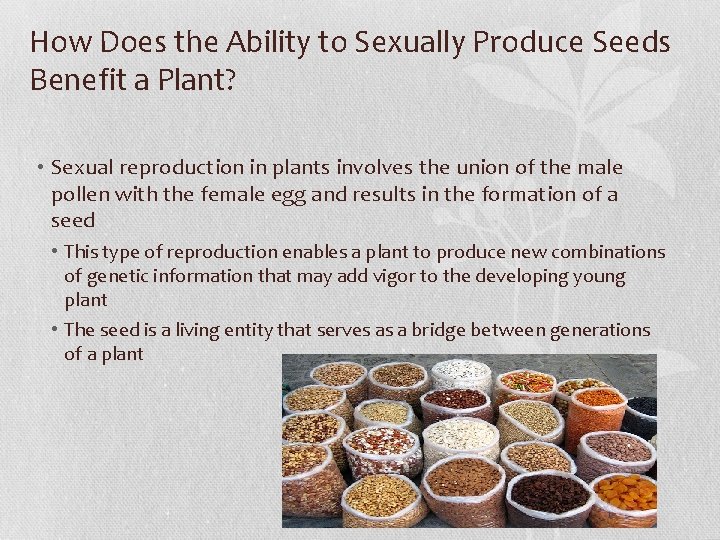 How Does the Ability to Sexually Produce Seeds Benefit a Plant? • Sexual reproduction