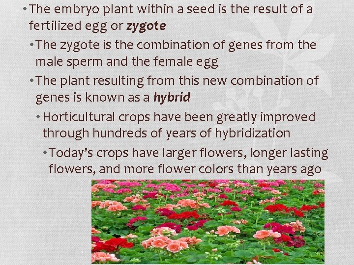  • The embryo plant within a seed is the result of a fertilized