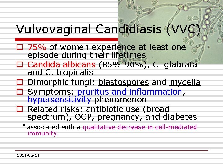 Vulvovaginal Candidiasis (VVC) o 75% of women experience at least one episode during their