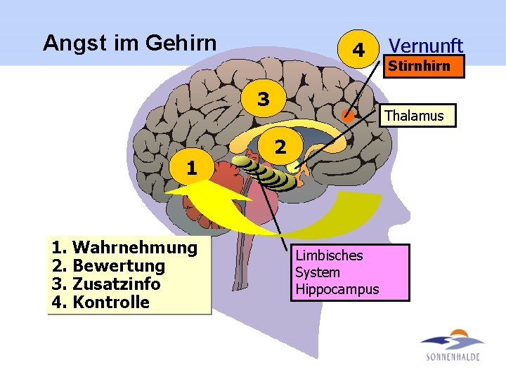 Angst im Gehirn 4 3 1 1. Wahrnehmung 2. Bewertung 3. Zusatzinfo 4. Kontrolle