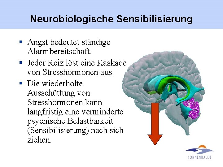 Neurobiologische Sensibilisierung § Angst bedeutet ständige Alarmbereitschaft. § Jeder Reiz löst eine Kaskade von