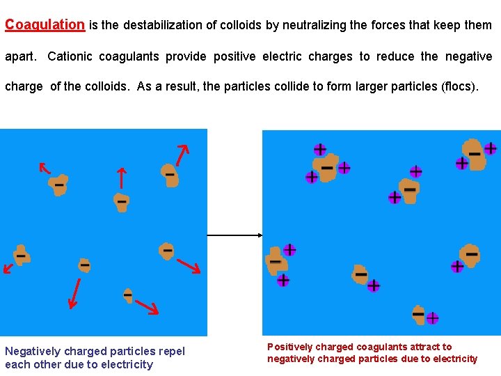 Coagulation is the destabilization of colloids by neutralizing the forces that keep them apart.