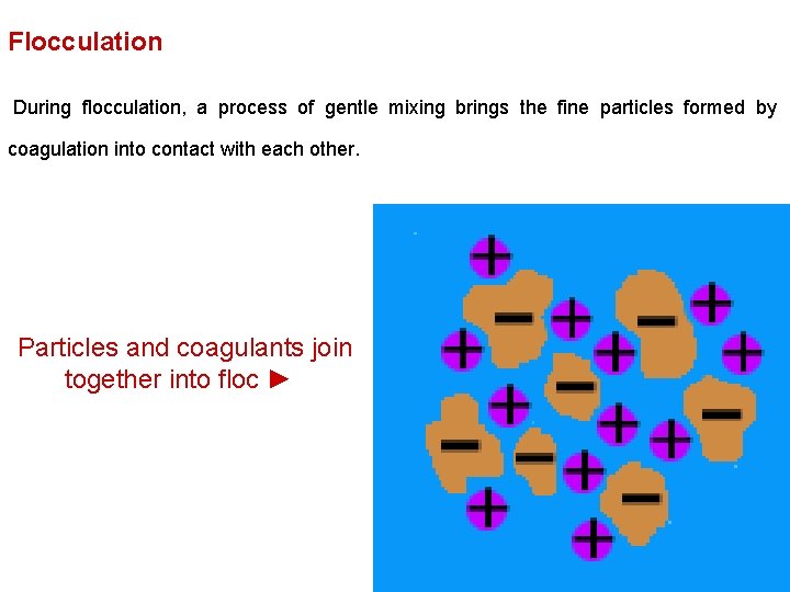 Flocculation During flocculation, a process of gentle mixing brings the fine particles formed by