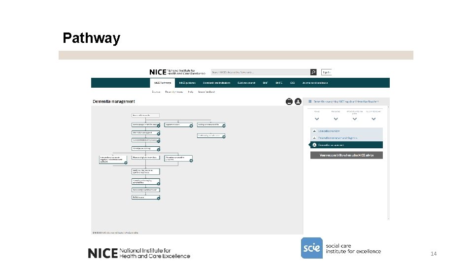 Nice Method Guide.pdf Using NICE guidance to improve and evidence quality