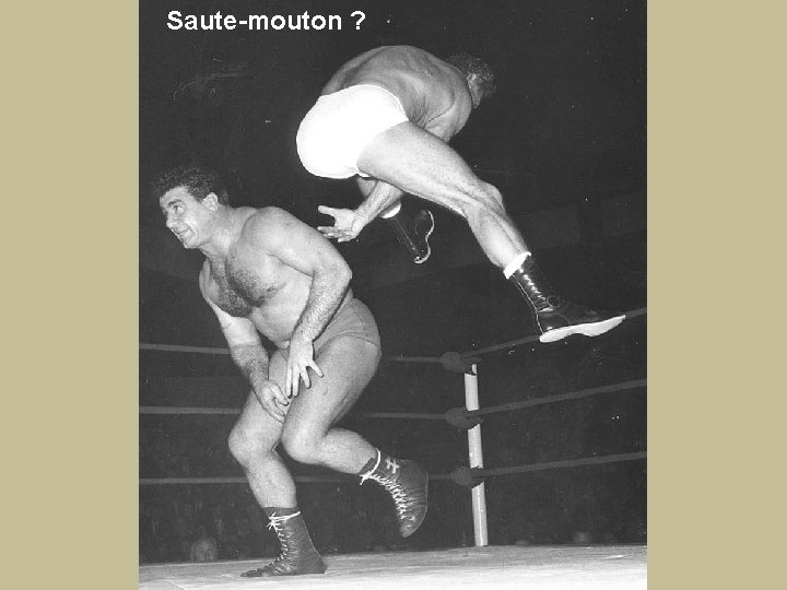 Saute-mouton ? 