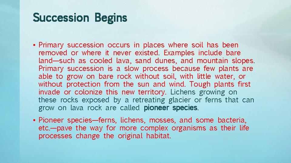 Succession Begins • Primary succession occurs in places where soil has been removed or Succession Begins • Primary succession occurs in places where soil has been removed or