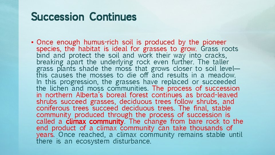 Succession Continues • Once enough humus-rich soil is produced by the pioneer species, the Succession Continues • Once enough humus-rich soil is produced by the pioneer species, the