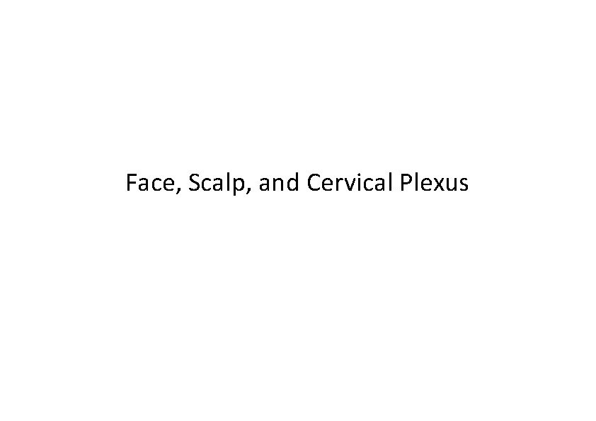 Face, Scalp, and Cervical Plexus 