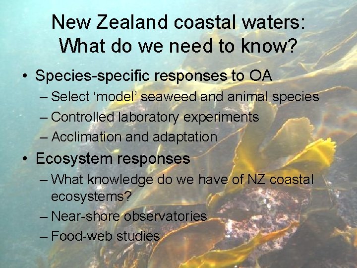 New Zealand coastal waters: What do we need to know? • Species-specific responses to