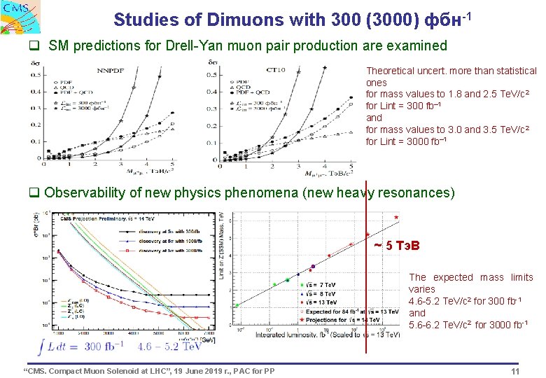 Studies of Dimuons with 300 (3000) фбн-1 q SM predictions for Drell-Yan muon pair