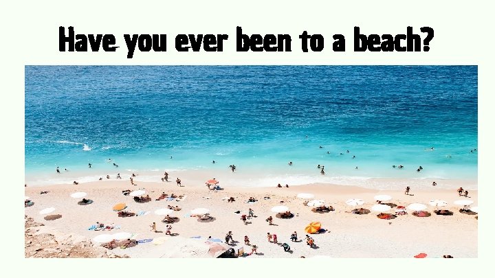 Have you ever been to a beach? 