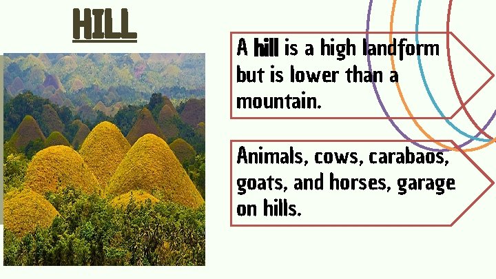 HILL A hill is a high landform but is lower than a mountain. Animals,