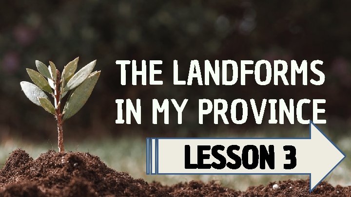 THE LANDFORMS IN MY PROVINCE LESSON 3 