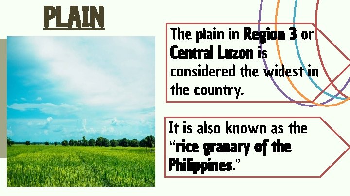 PLAIN The plain in Region 3 or Central Luzon is considered the widest in