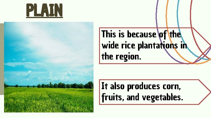 PLAIN This is because of the wide rice plantations in the region. It also