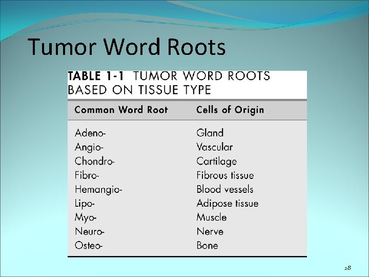 Tumor Word Roots 28 