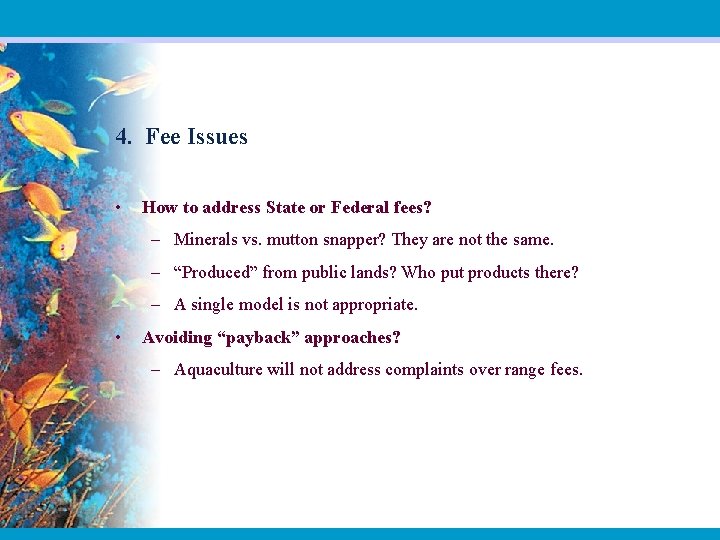 4. Fee Issues • How to address State or Federal fees? – Minerals vs.