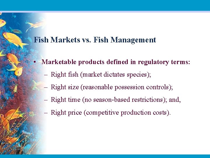 Fish Markets vs. Fish Management • Marketable products defined in regulatory terms: – Right