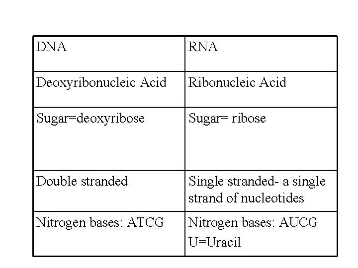 DNA RNA Deoxyribonucleic Acid Ribonucleic Acid Sugar=deoxyribose Sugar= ribose Double stranded Single stranded- a