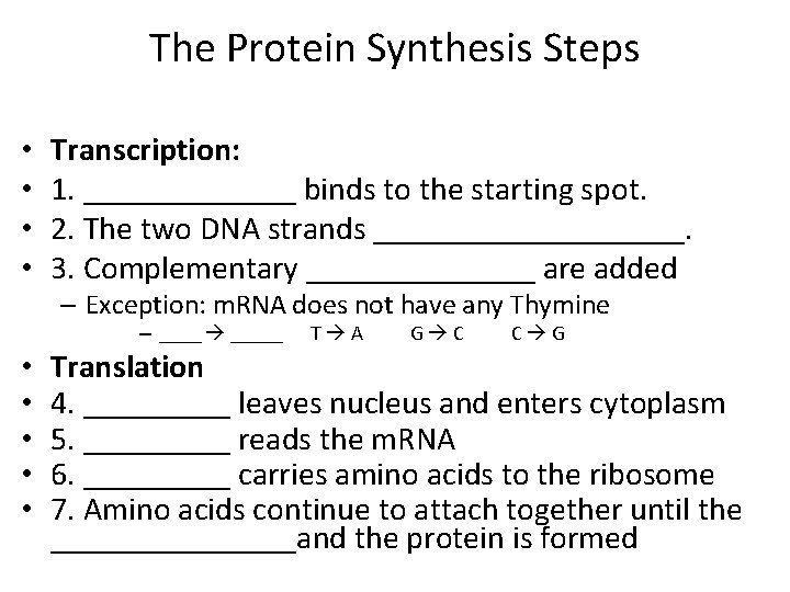 The Protein Synthesis Steps • • Transcription: 1. _______ binds to the starting spot.