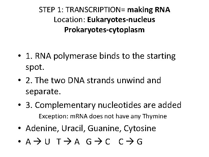 STEP 1: TRANSCRIPTION= making RNA Location: Eukaryotes-nucleus Prokaryotes-cytoplasm • 1. RNA polymerase binds to