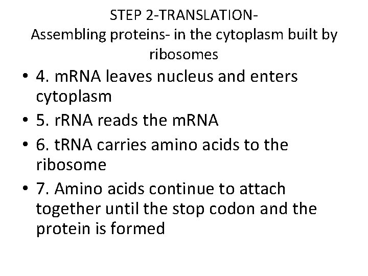 STEP 2 -TRANSLATIONAssembling proteins- in the cytoplasm built by ribosomes • 4. m. RNA