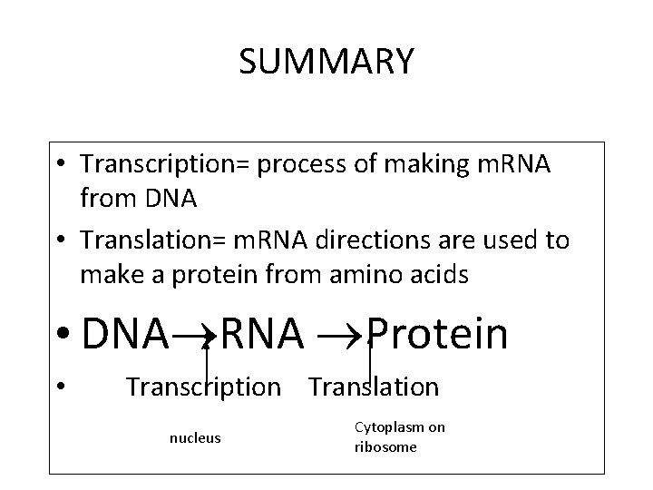 SUMMARY • Transcription= process of making m. RNA from DNA • Translation= m. RNA