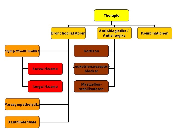 Therapie Bronchodilatatoren Sympathomimetika Antiphlogistika / Antiallergika Kortison kurzwirksame Leukotrienzrezeptorblocker langwirksame Mastzellenstabilisatoren Parasympatholytika Xanthinderivate Kombinationen