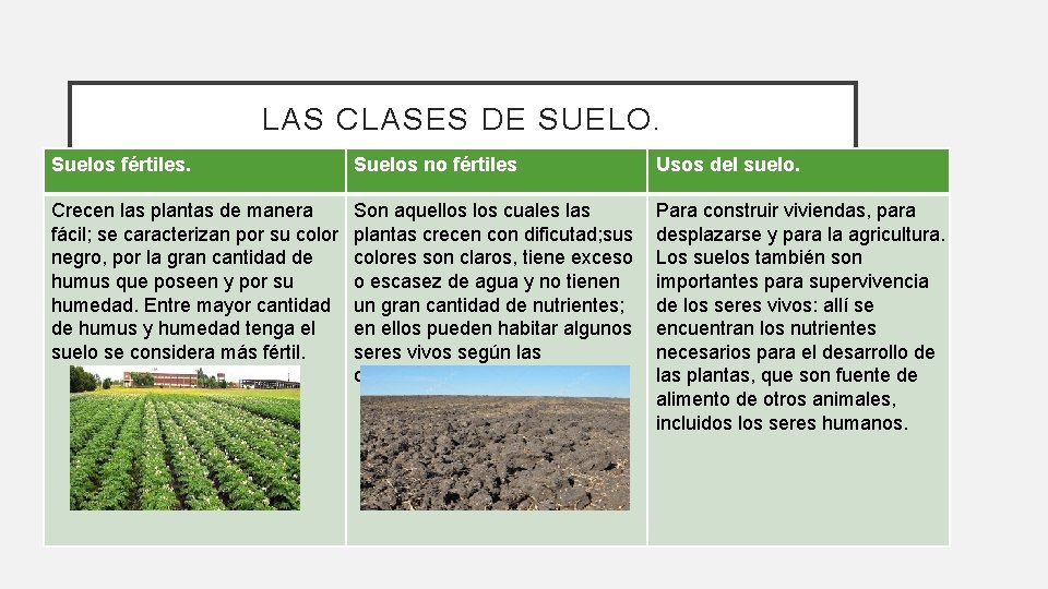 LAS CLASES DE SUELO. Suelos fértiles. Suelos no fértiles Usos del suelo. Crecen las