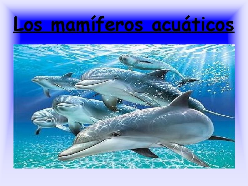 Los mamíferos acuáticos 
