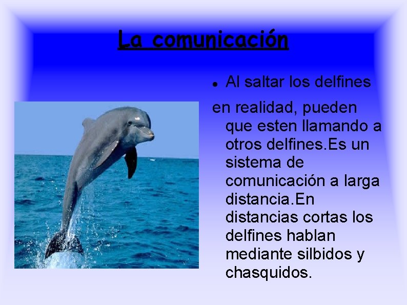 La comunicación Al saltar los delfines en realidad, pueden que esten llamando a otros