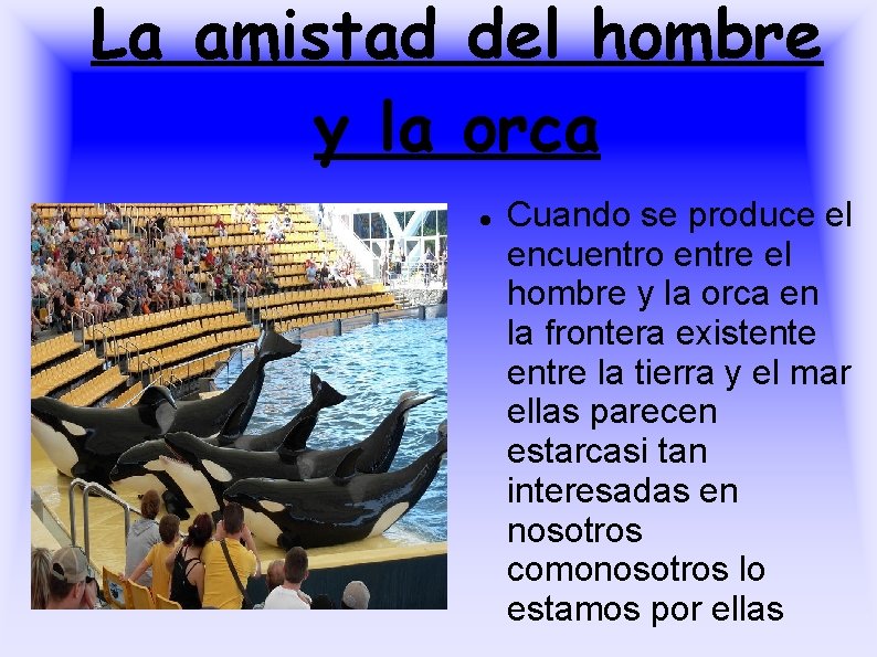 La amistad del hombre y la orca Cuando se produce el encuentro entre el