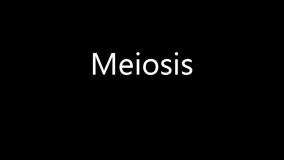 Meiosis 