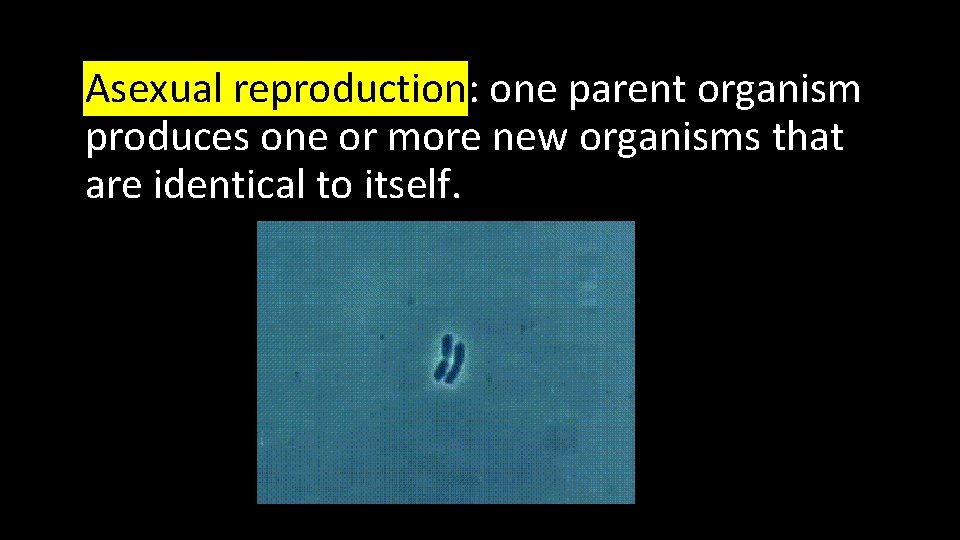  • Asexual reproduction: one parent organism produces one or more new organisms that