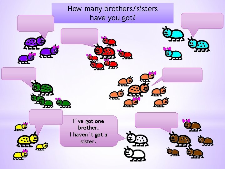 How many brothers/sisters have you got? I´ve got one brother. I haven´t got a